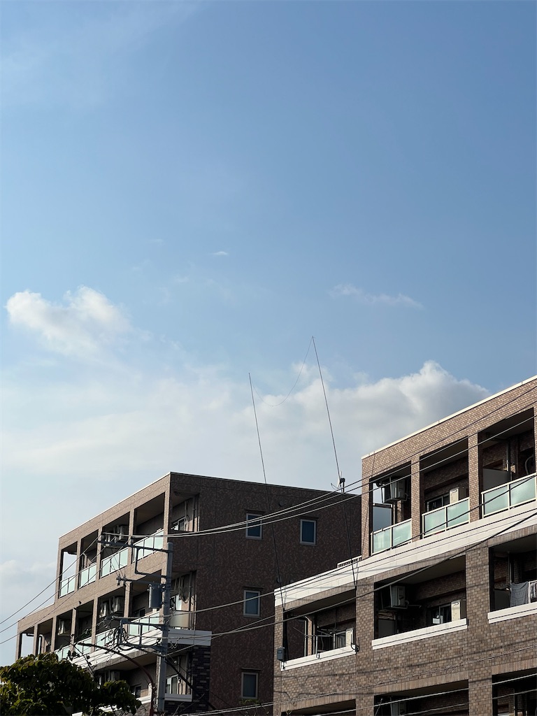 f:id:willemer:20220828114929j:image