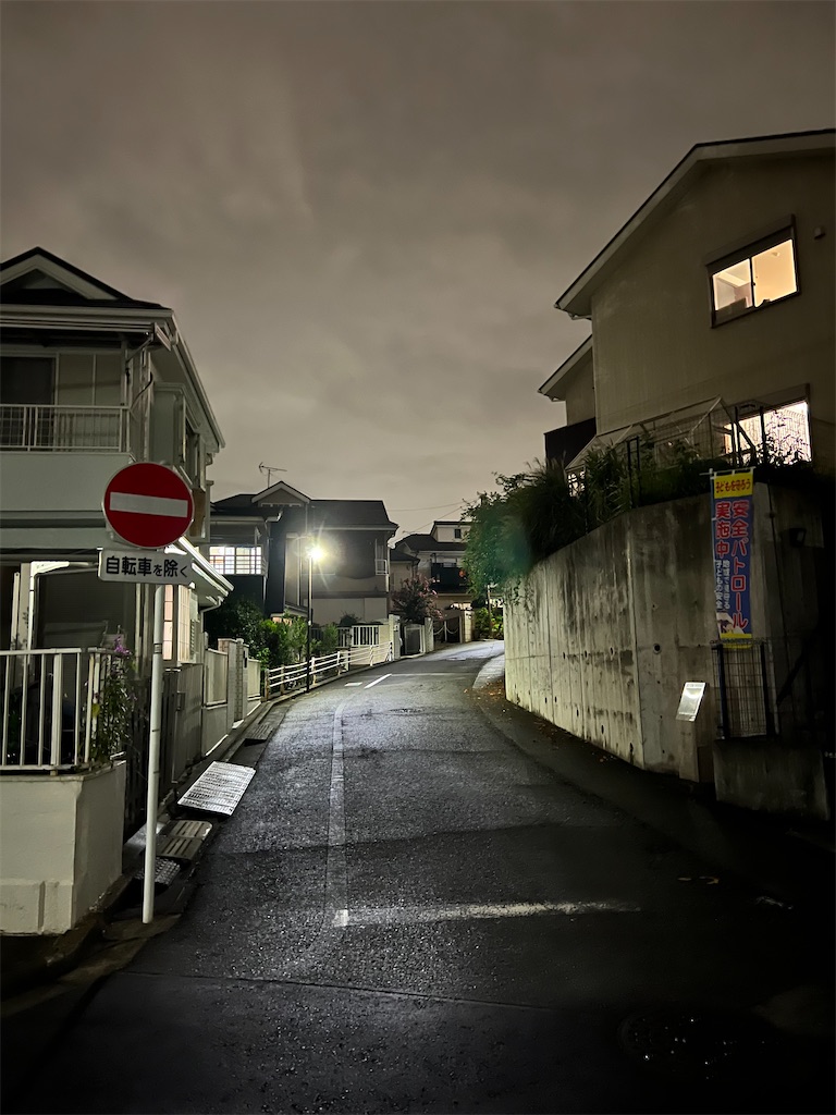 f:id:willemer:20220829233305j:image f:id:willemer:20220829233305j:image