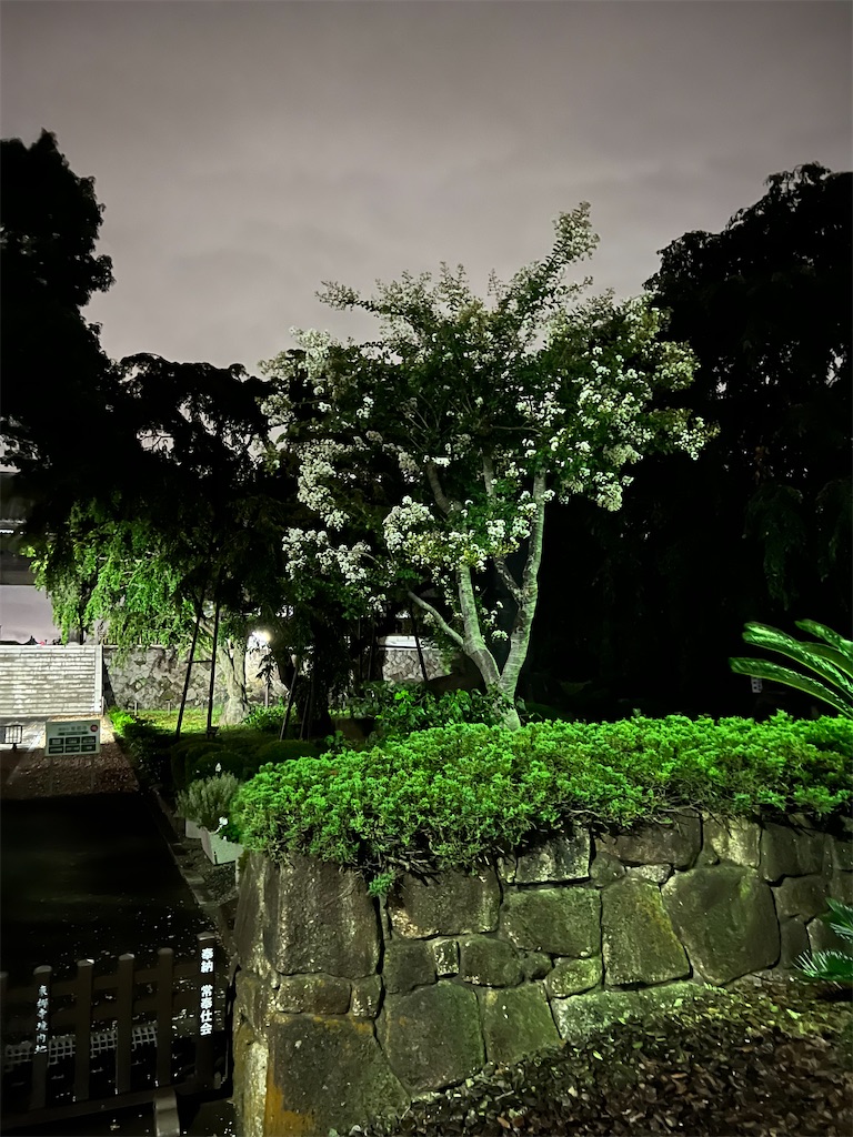 f:id:willemer:20220829233318j:image f:id:willemer:20220829233318j:image