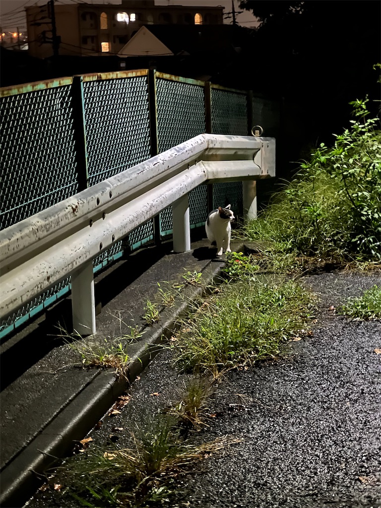 f:id:willemer:20220831105009j:image