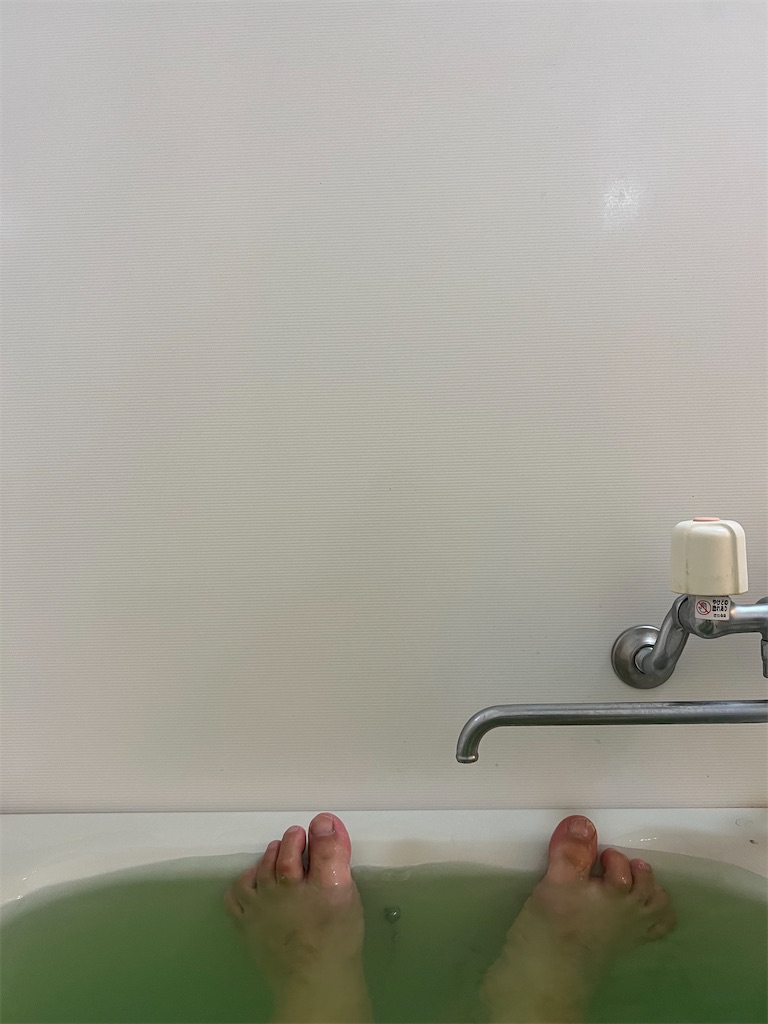 f:id:willemer:20220831105021j:image