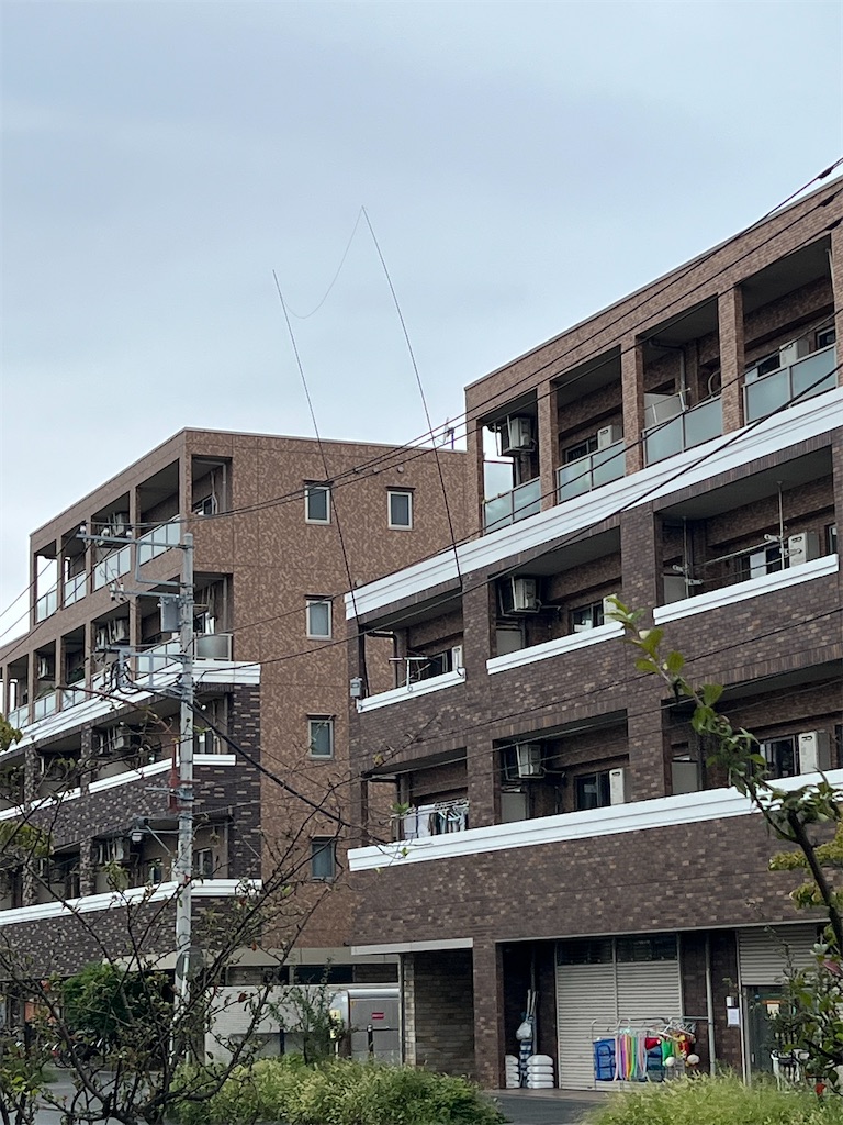 f:id:willemer:20220831105055j:image