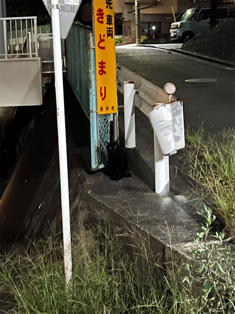 f:id:willemer:20220922103439j:image f:id:willemer:20220922103439j:image