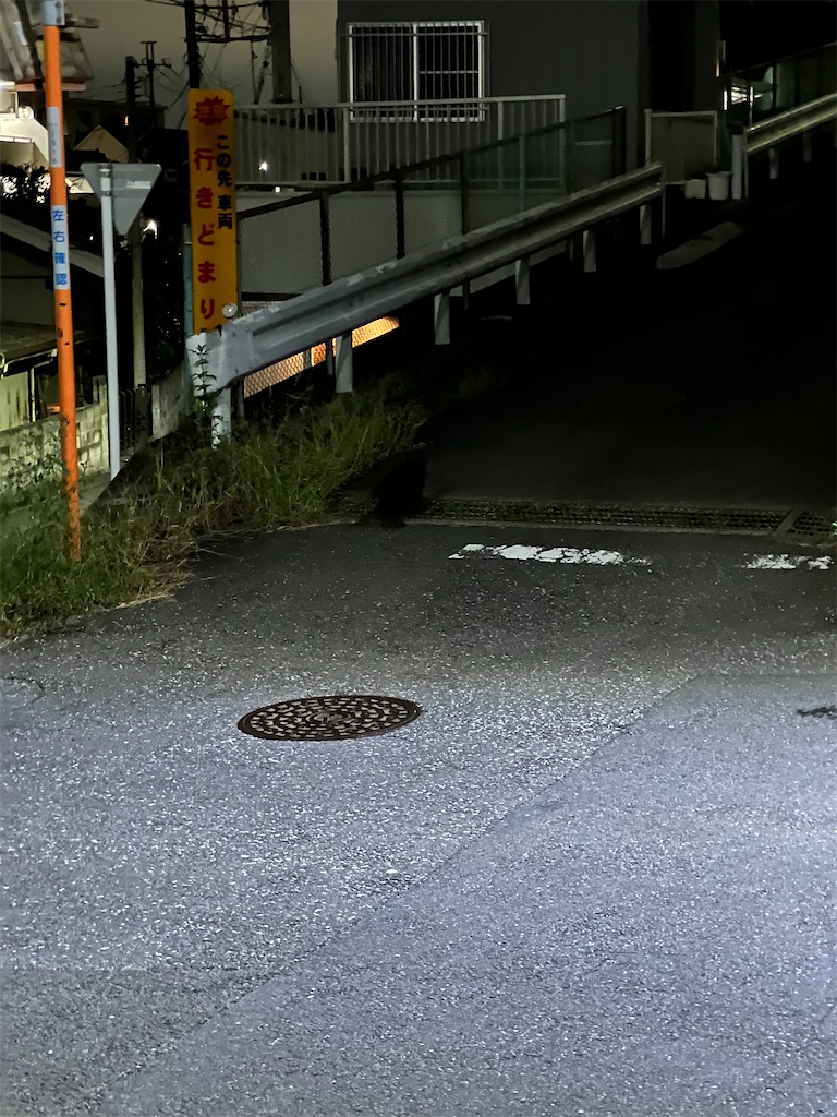 f:id:willemer:20220922103508j:image f:id:willemer:20220922103508j:image