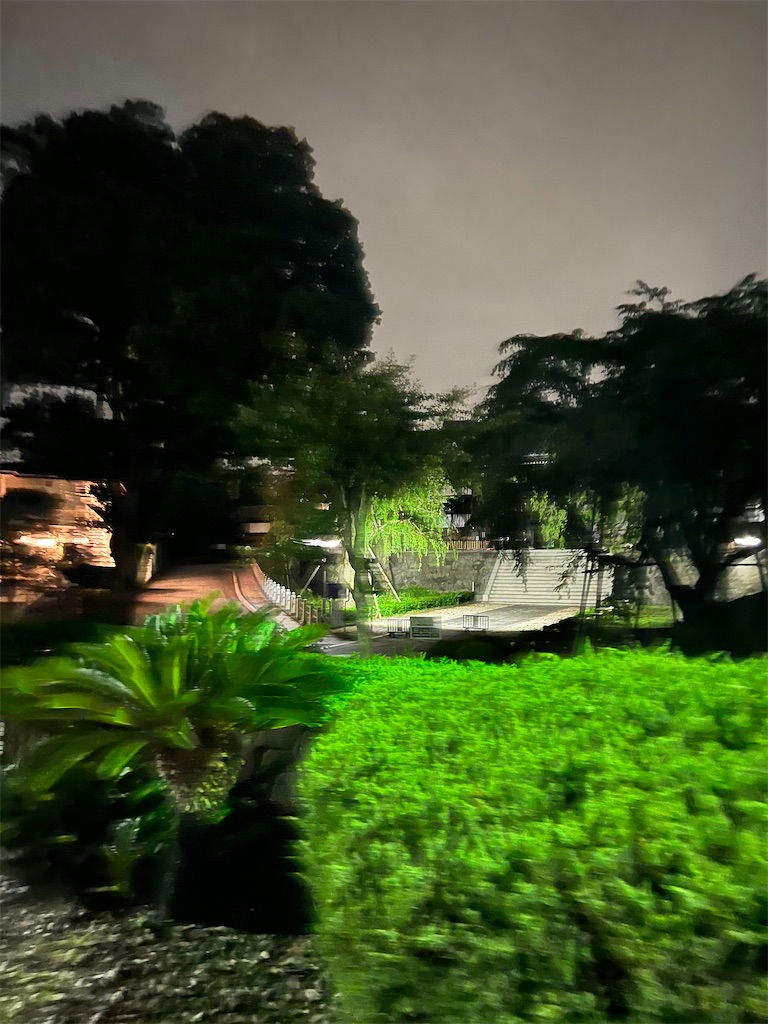 f:id:willemer:20220922105322j:image f:id:willemer:20220922105322j:image