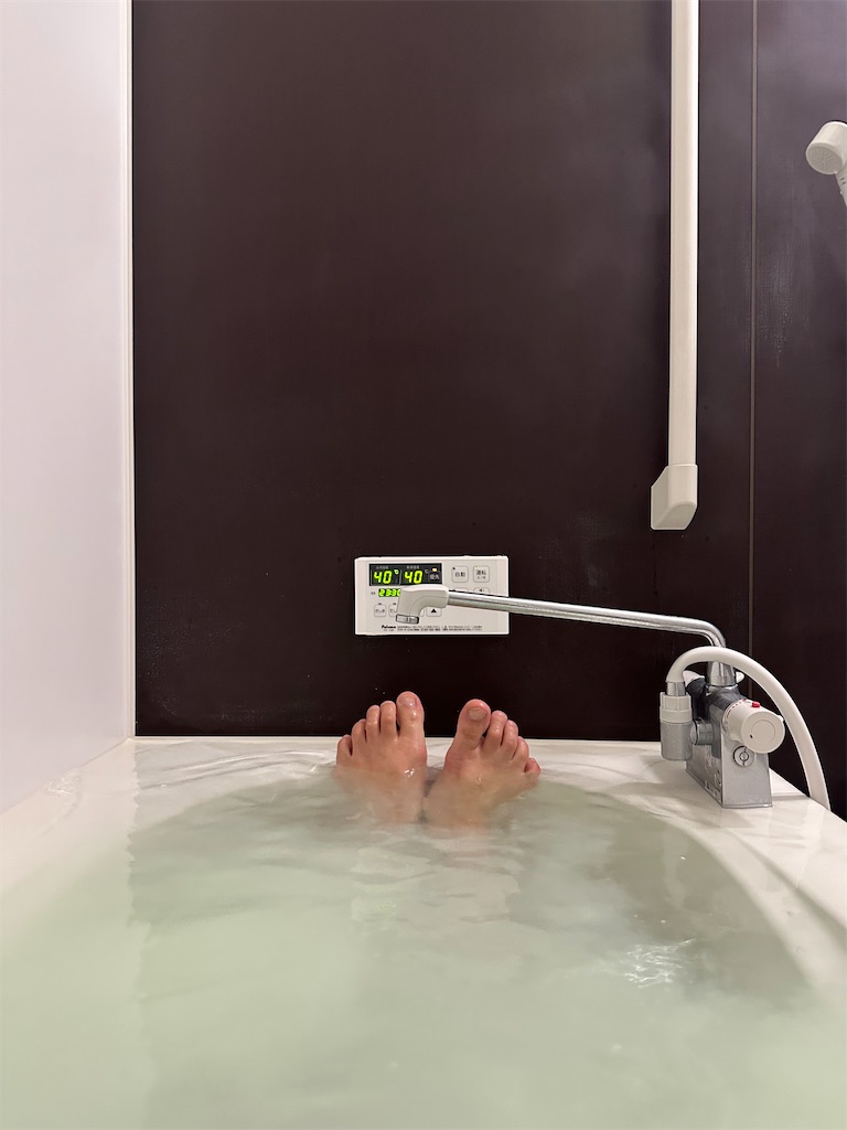 f:id:willemer:20230324081709j:image