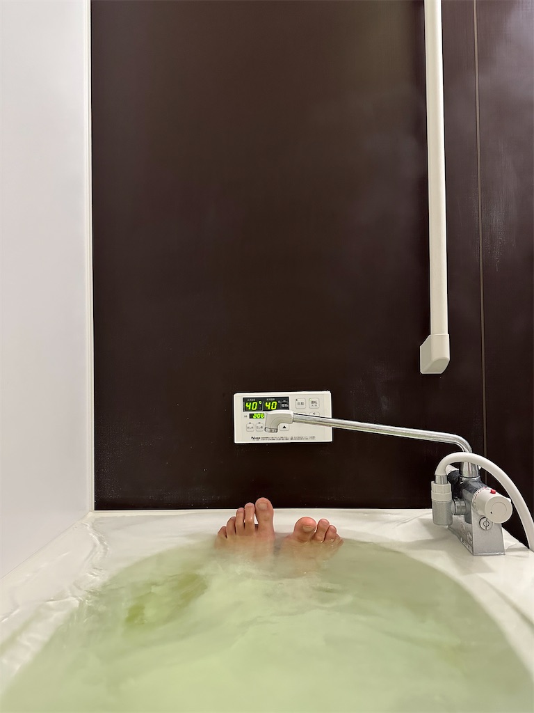 f:id:willemer:20230402095541j:image