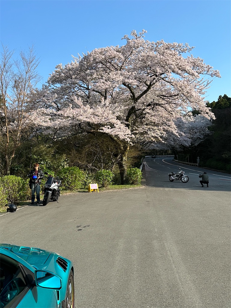 f:id:willemer:20230402095715j:image