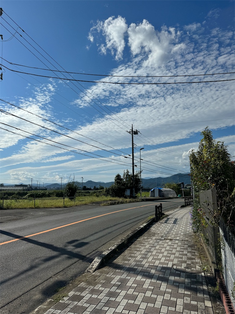 f:id:willemer:20231006111433j:image