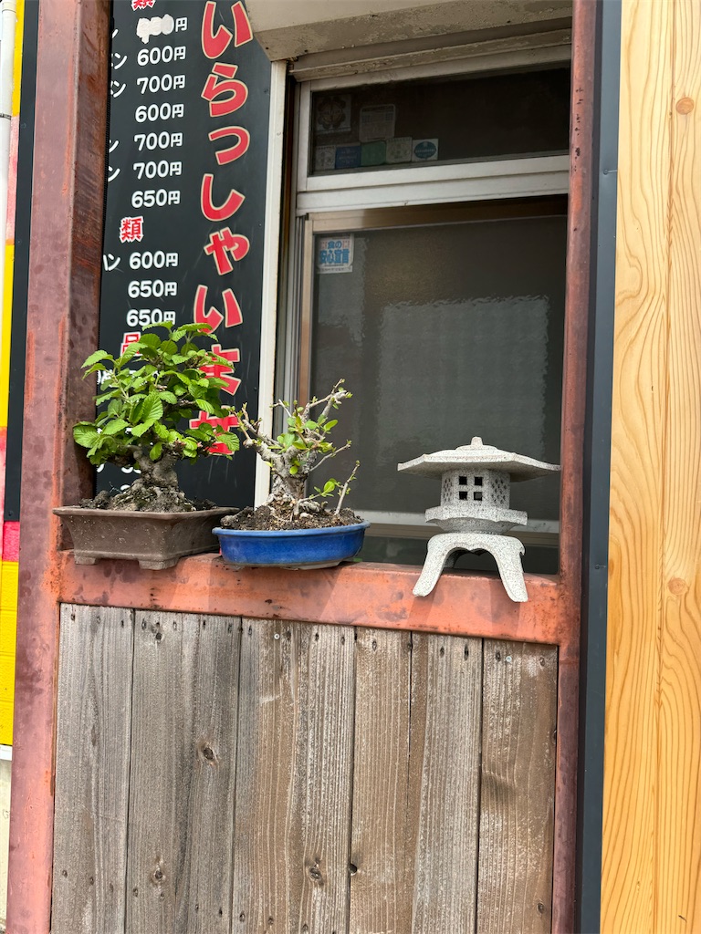 f:id:willemer:20240407074105j:image