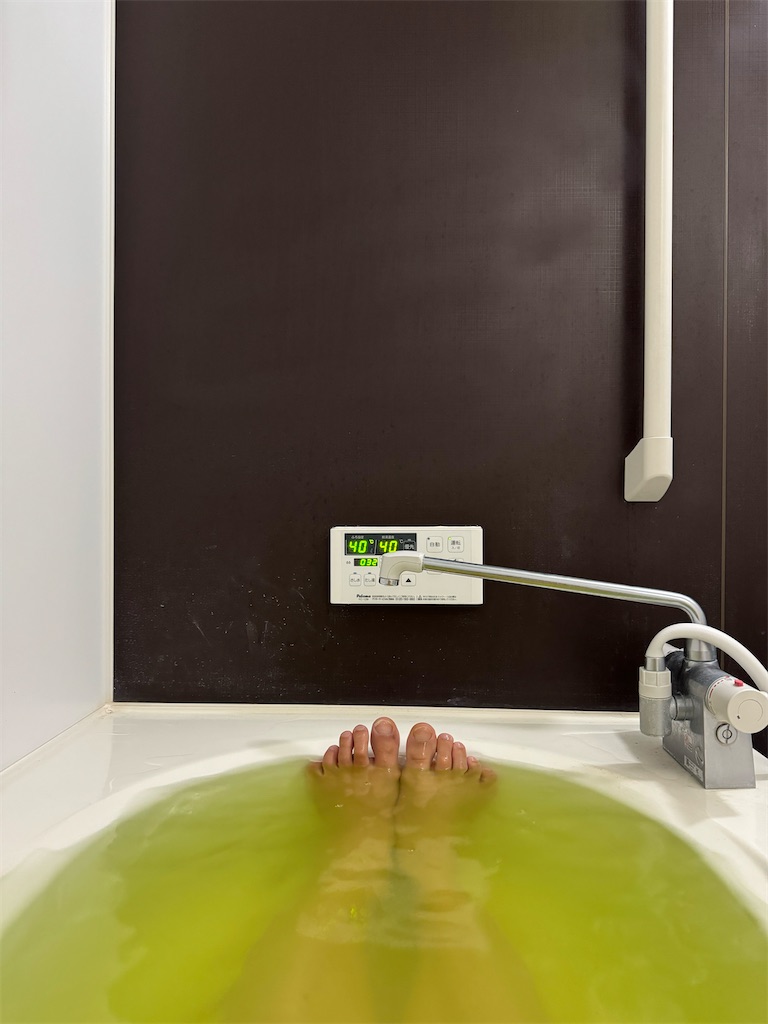 f:id:willemer:20240428190619j:image