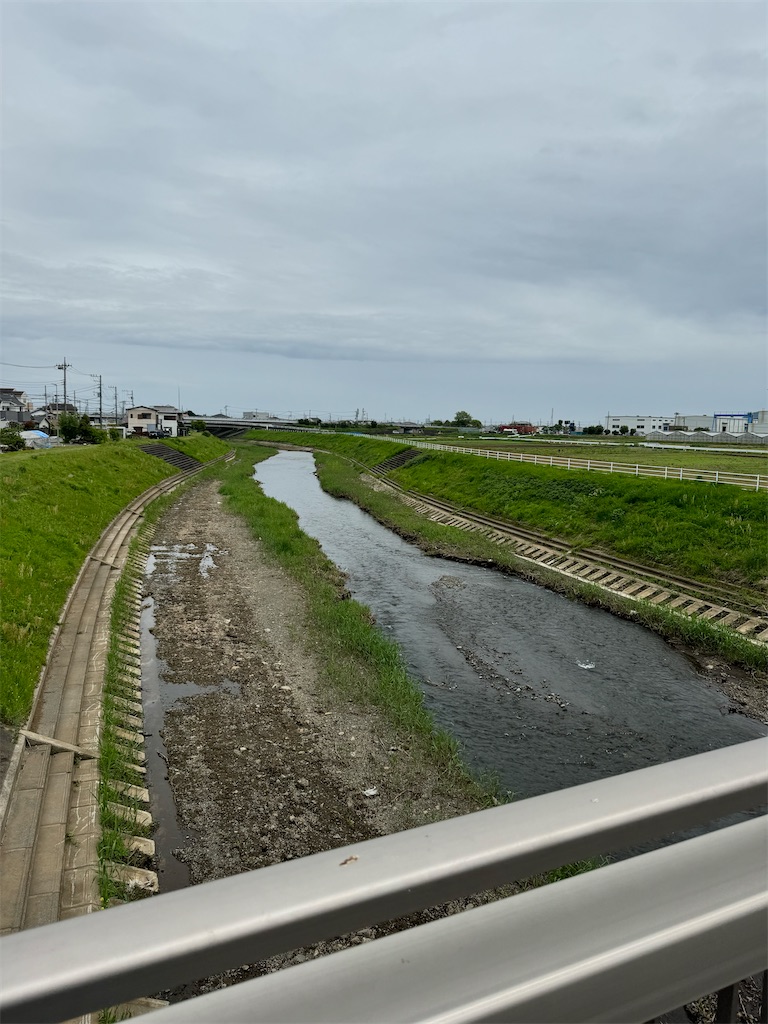 f:id:willemer:20240428190631j:image