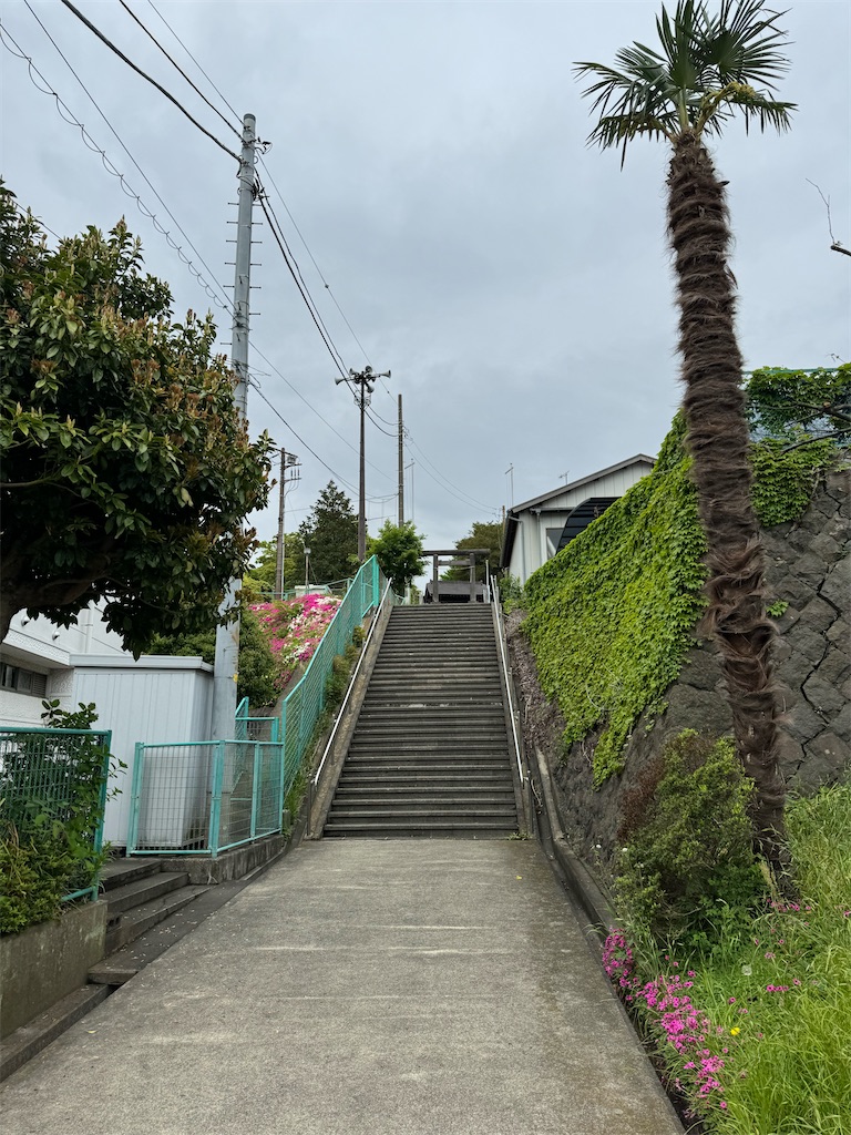 f:id:willemer:20240428190643j:image