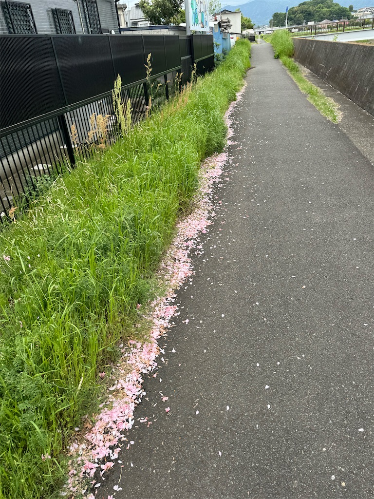 f:id:willemer:20240428190655j:image