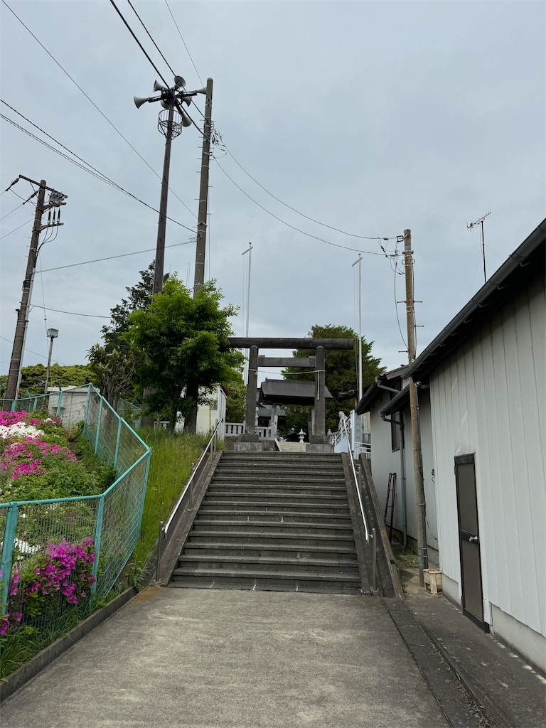 f:id:willemer:20240428190703j:image