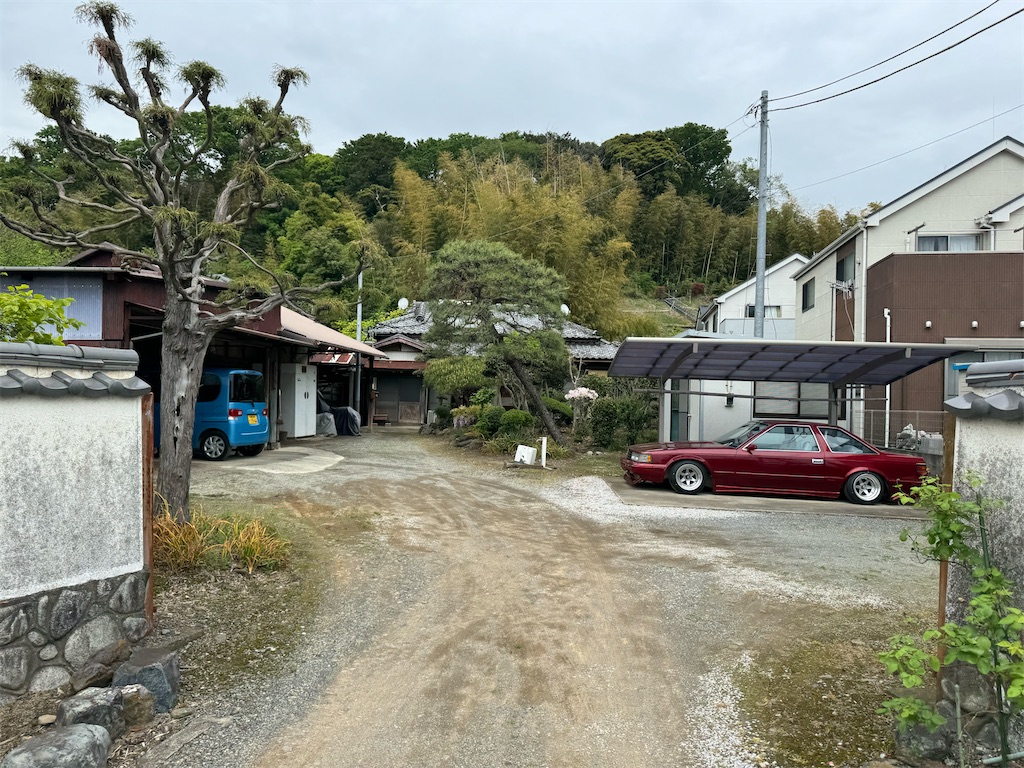 f:id:willemer:20240428190802j:image