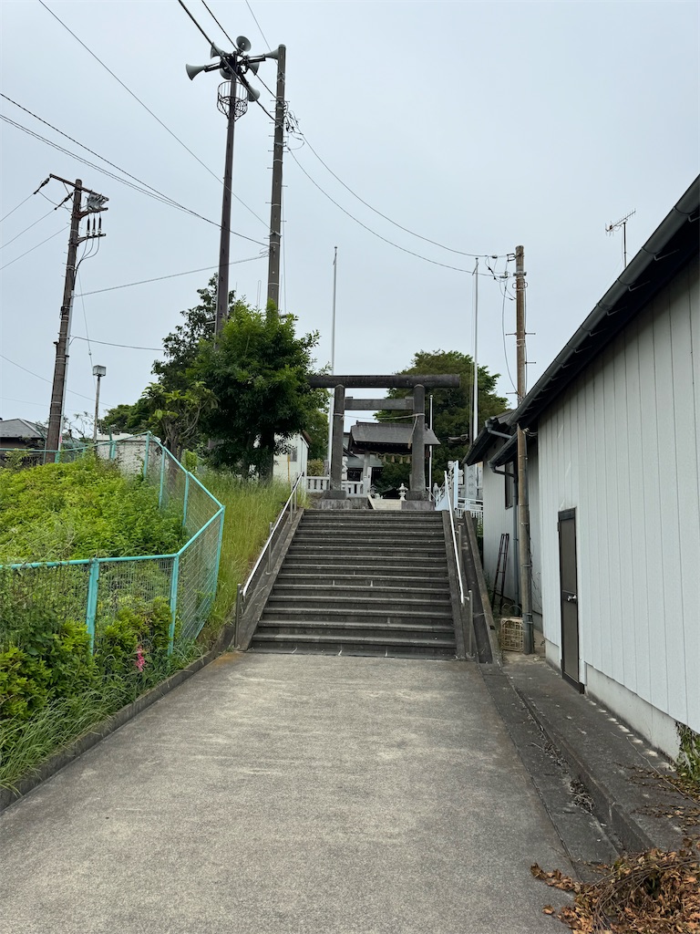 f:id:willemer:20240519231402j:image