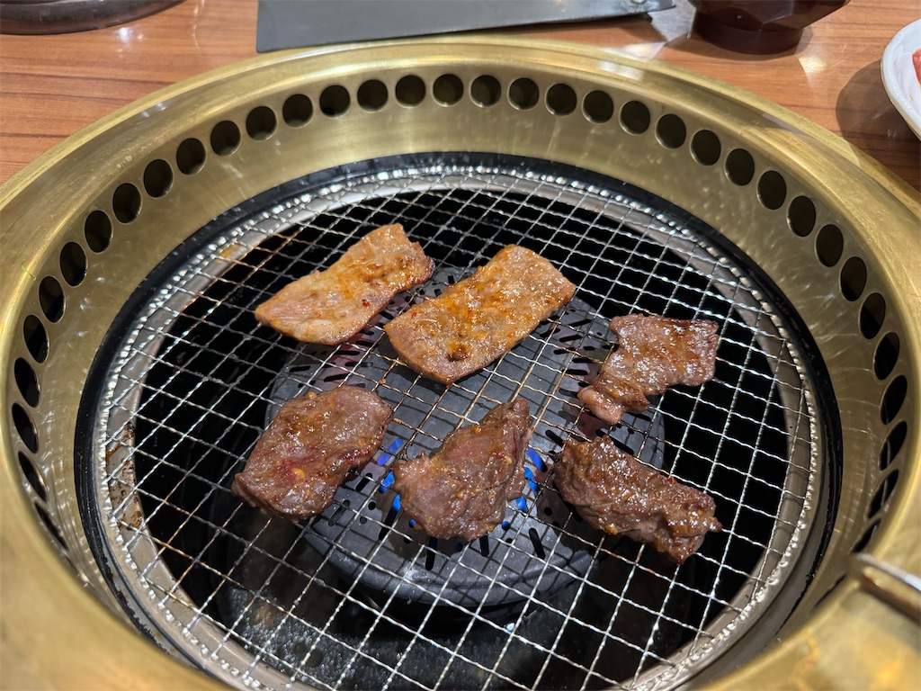 f:id:willemer:20240525020113j:image