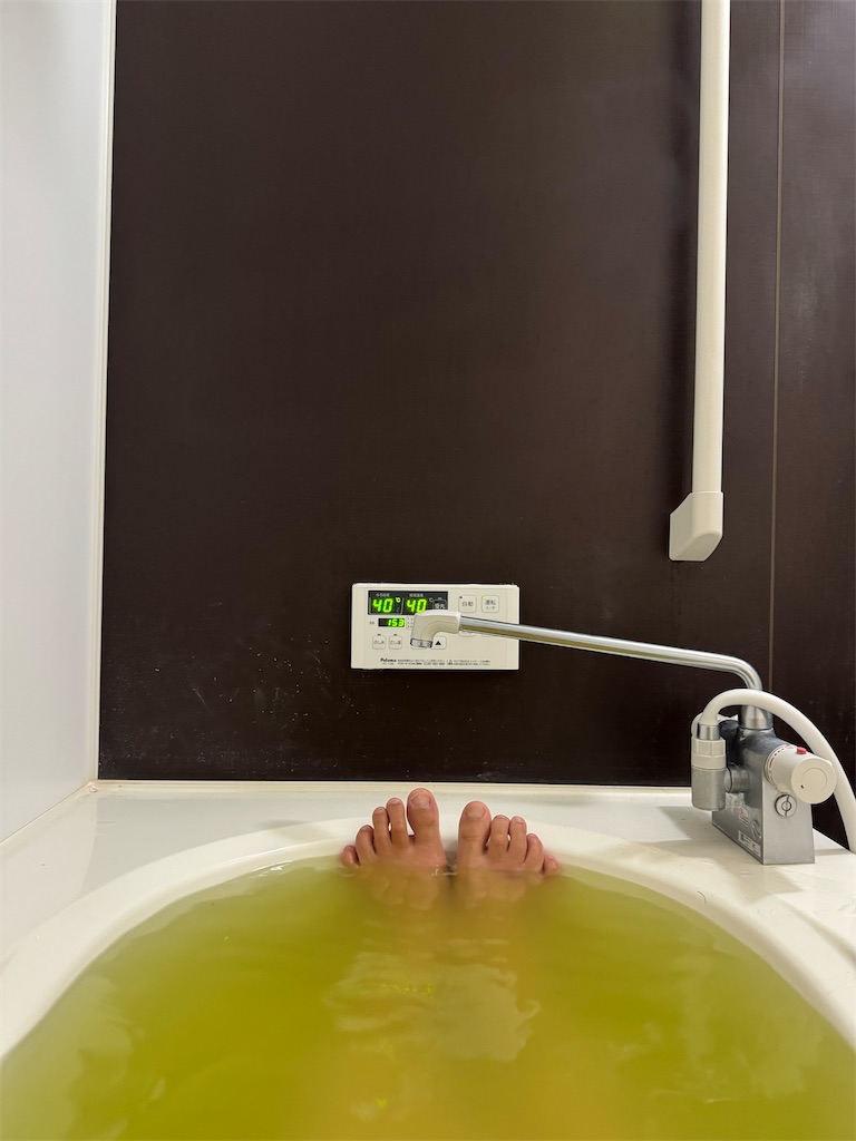 f:id:willemer:20240525020515j:image