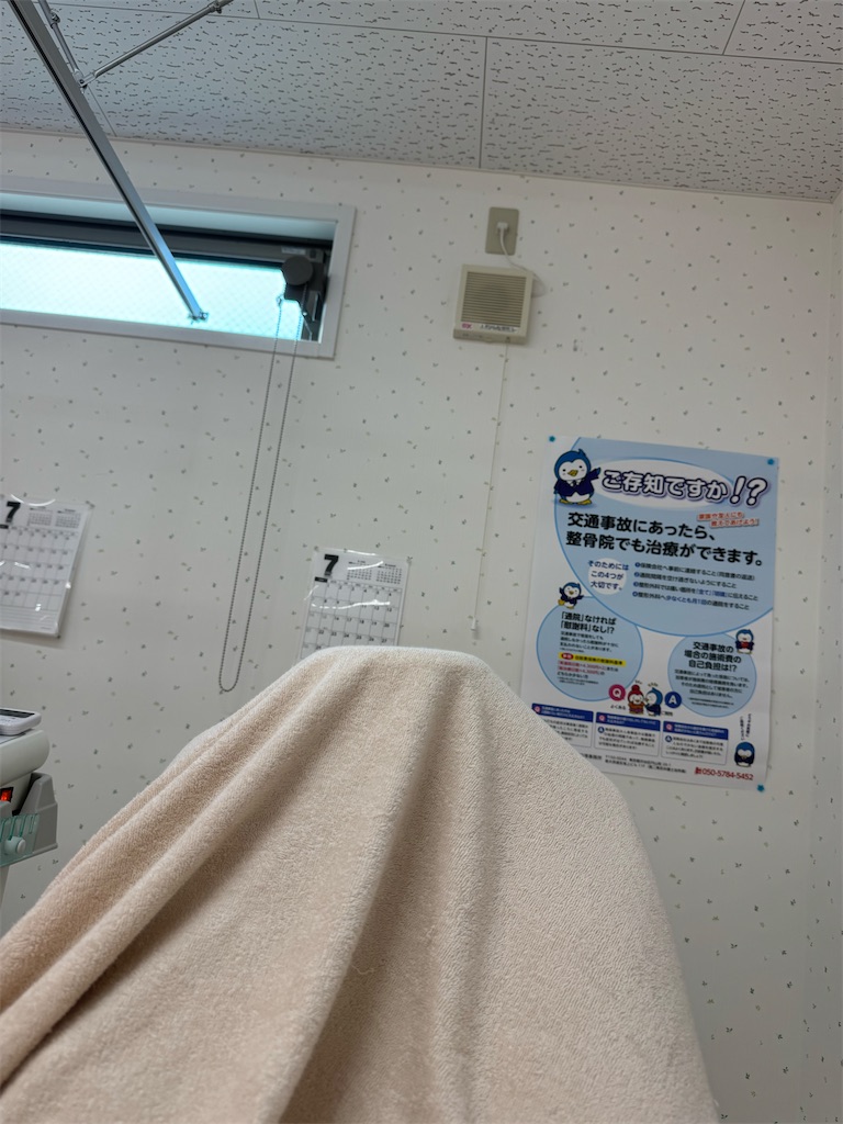 f:id:willemer:20240708110651j:image