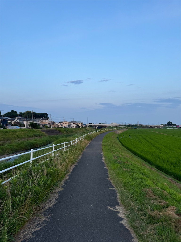 f:id:willemer:20240708121655j:image