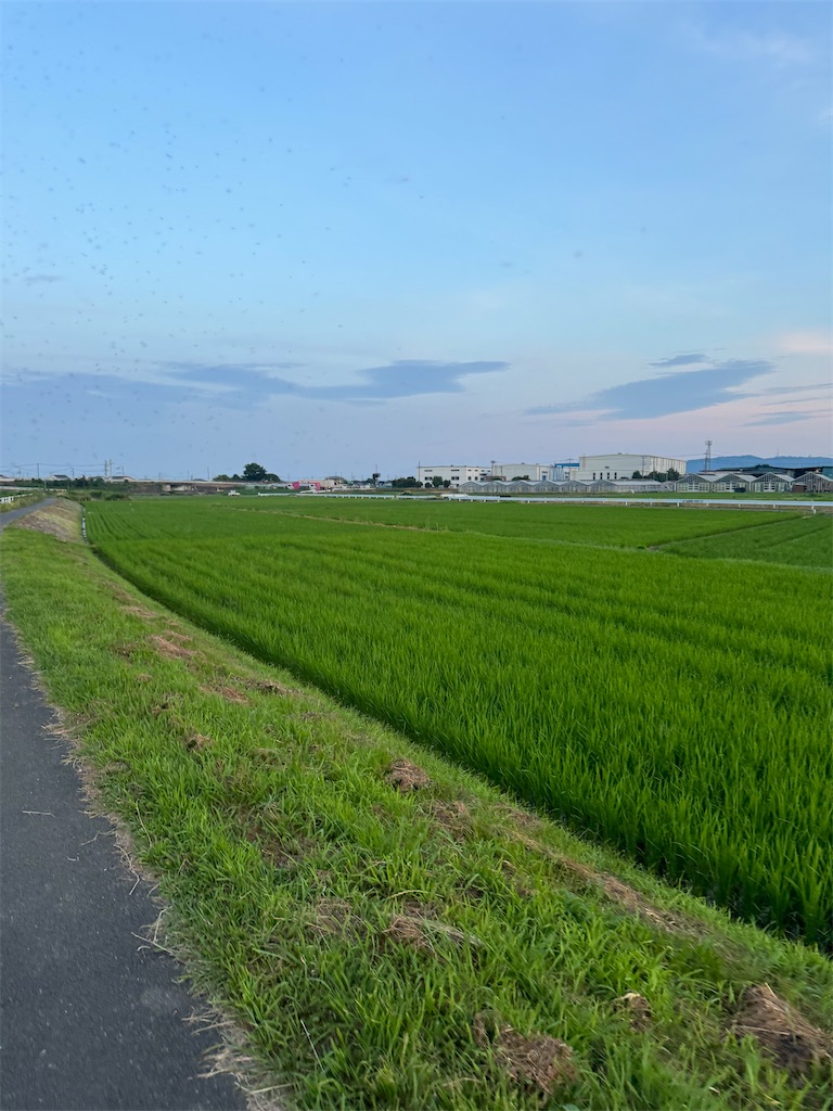 f:id:willemer:20240708121734j:image