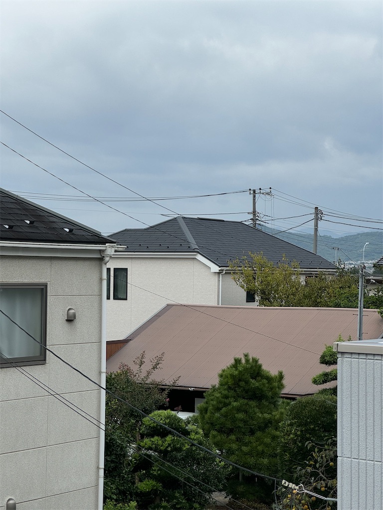 f:id:willemer:20241001152940j:image