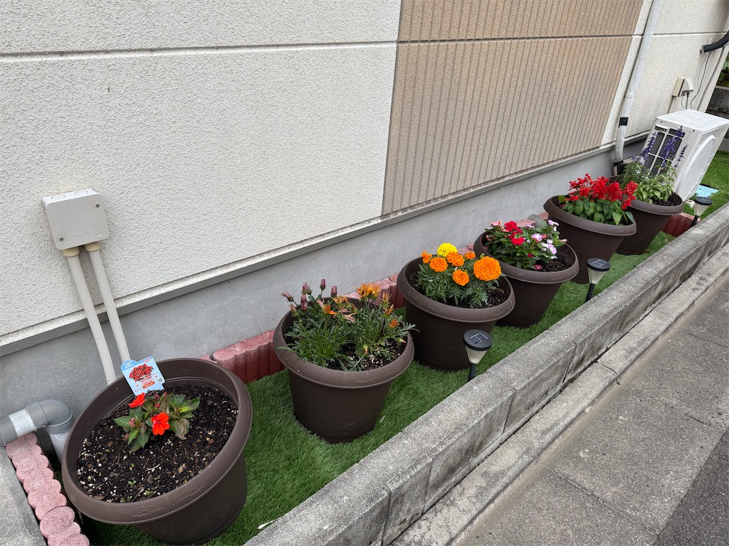 f:id:willemer:20250531143604j:image