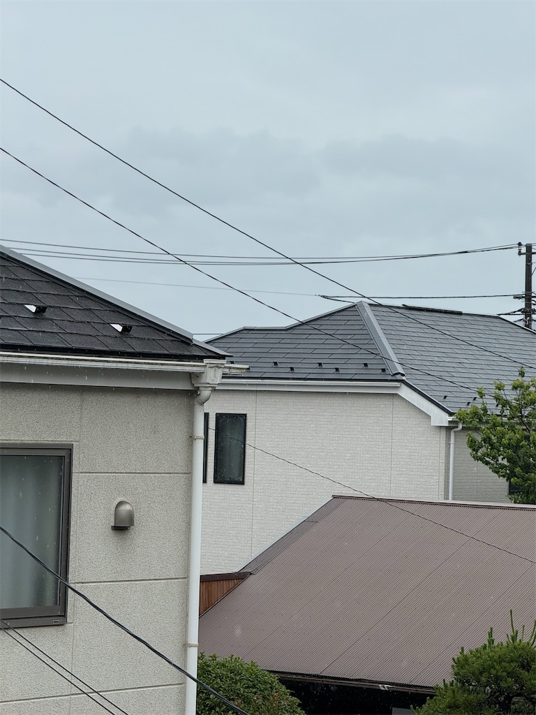 f:id:willemer:20250531143607j:image