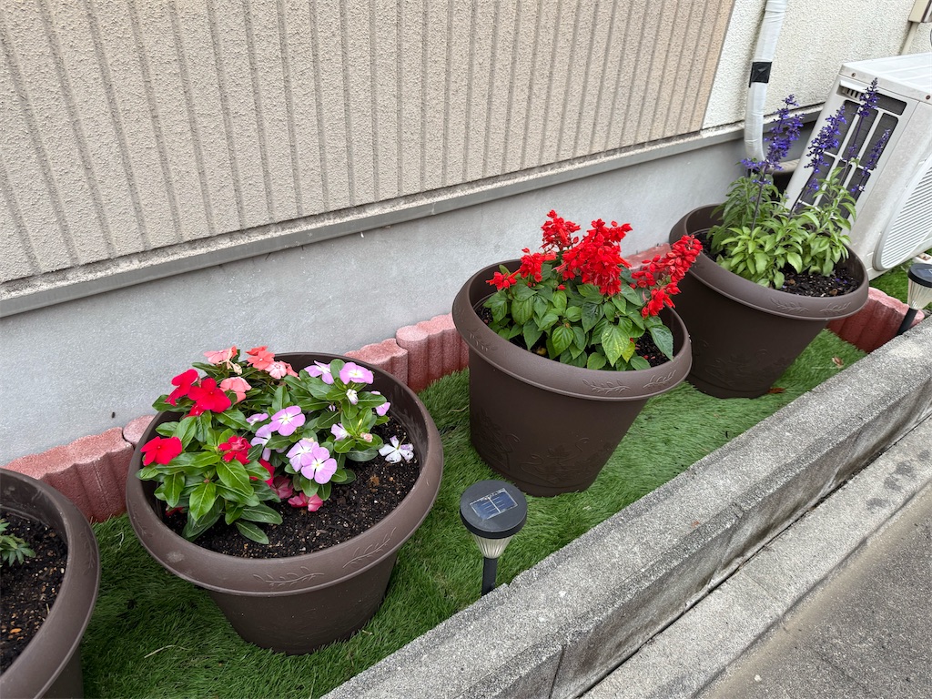 f:id:willemer:20250531143624j:image