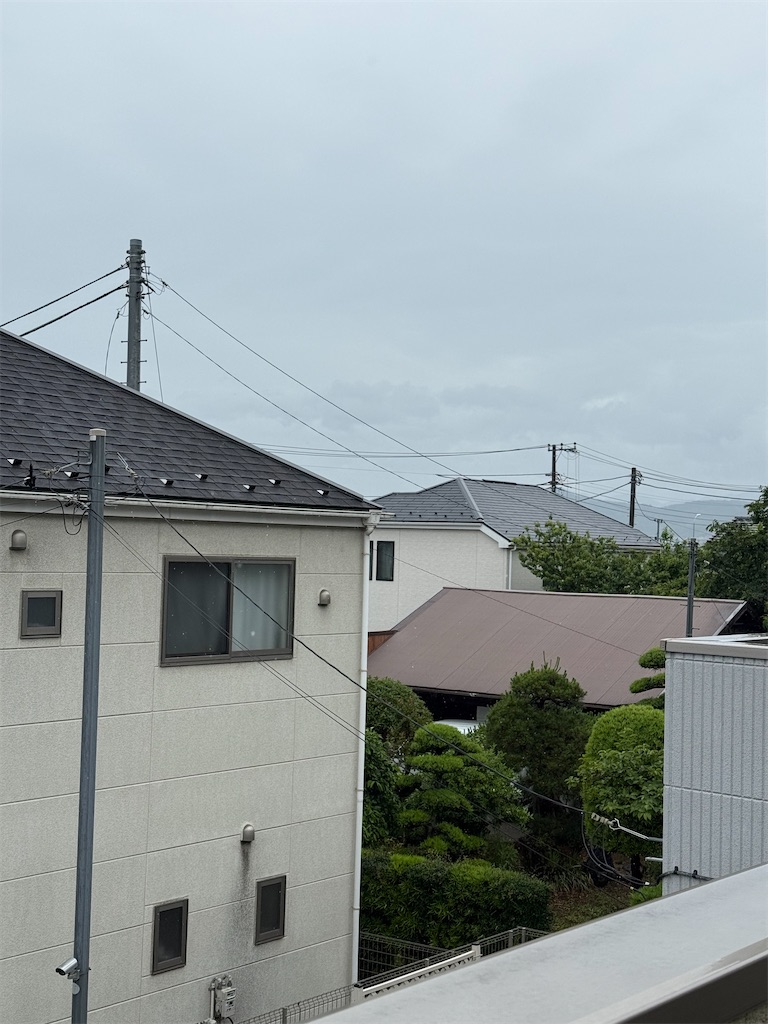 f:id:willemer:20250531143652j:image