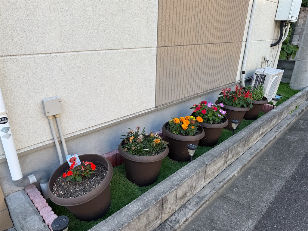 f:id:willemer:20250620164444j:image