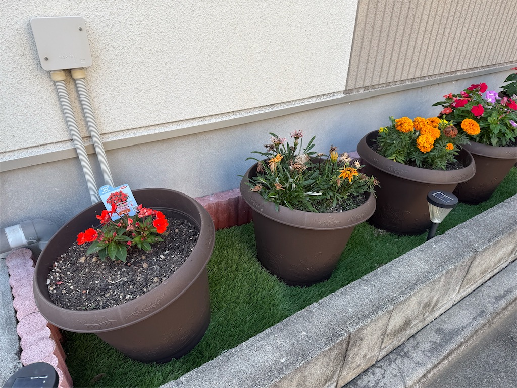 f:id:willemer:20250620164555j:image