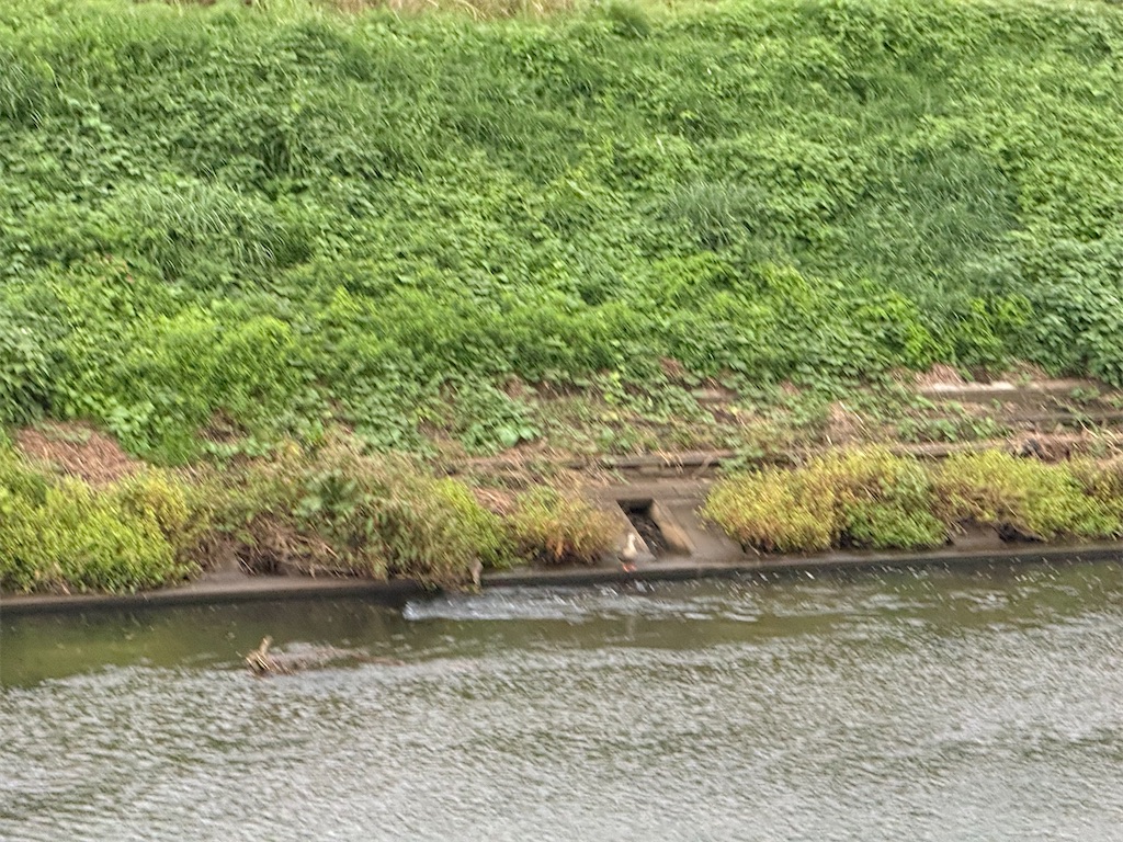 f:id:willemer:20251018124146j:image f:id:willemer:20251018124146j:image