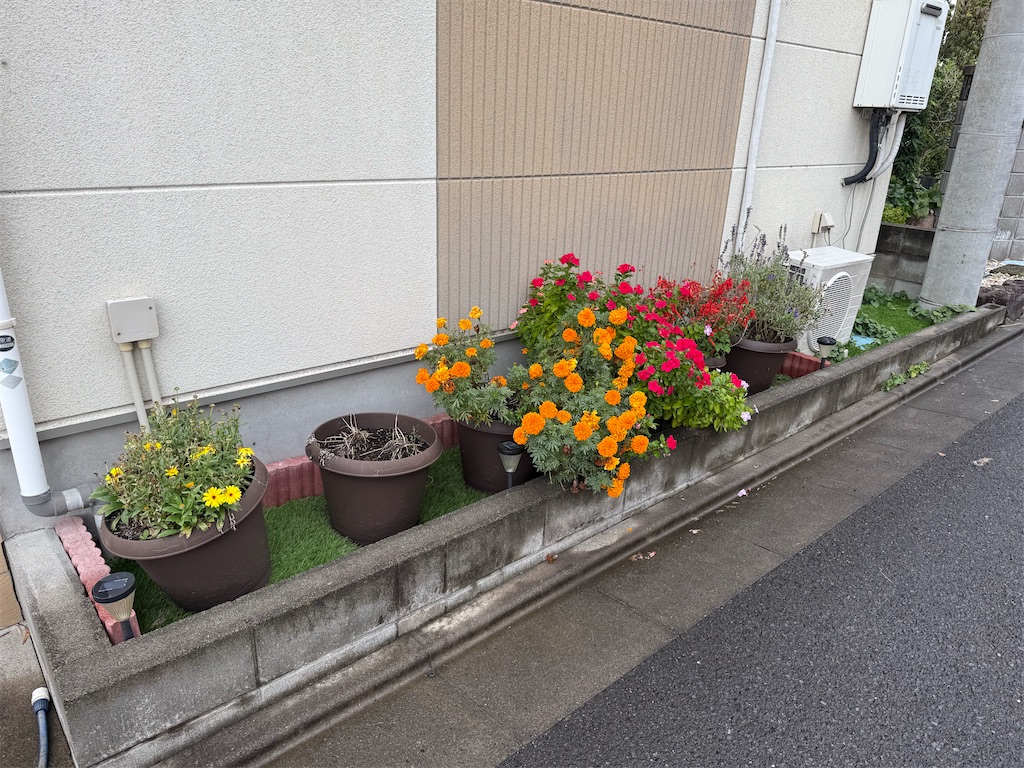 f:id:willemer:20251018124153j:image f:id:willemer:20251018124153j:image