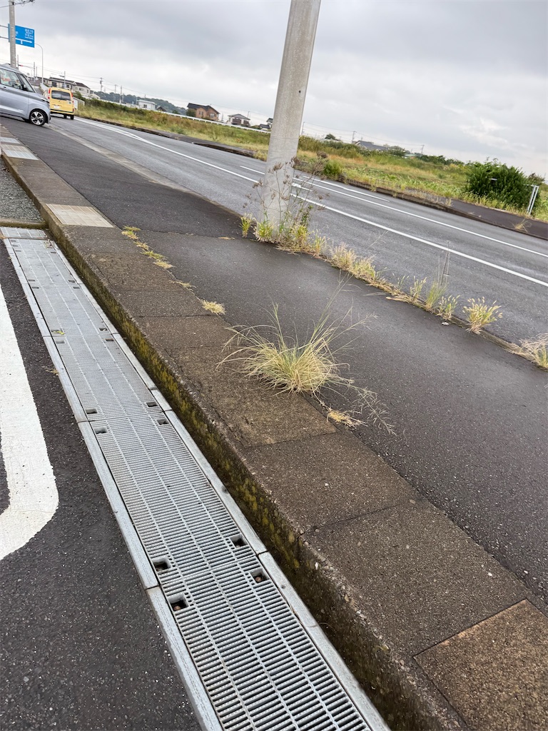 f:id:willemer:20251018124207j:image f:id:willemer:20251018124207j:image