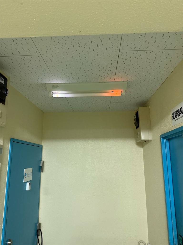 f:id:willemer:20251018124218j:image f:id:willemer:20251018124218j:image