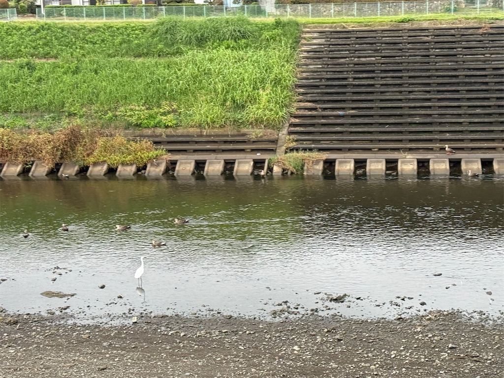 f:id:willemer:20251018124228j:image f:id:willemer:20251018124228j:image