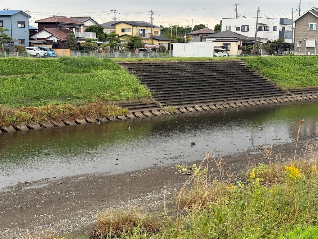 f:id:willemer:20251018124246j:image f:id:willemer:20251018124246j:image