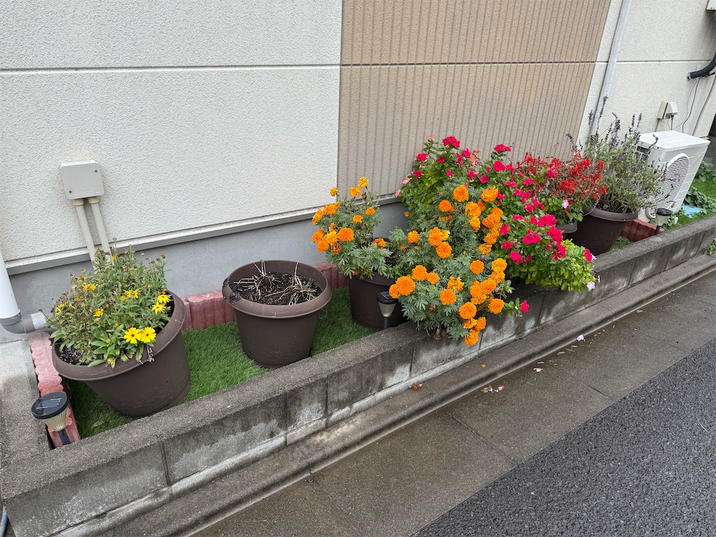 f:id:willemer:20251018124311j:image f:id:willemer:20251018124311j:image