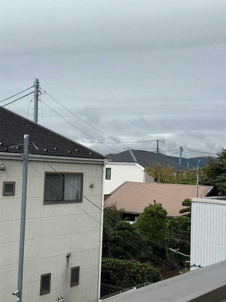 f:id:willemer:20251018124334j:image f:id:willemer:20251018124334j:image