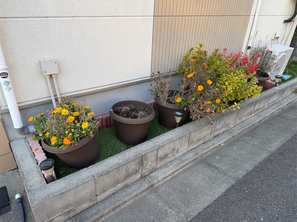 f:id:willemer:20251219215618j:image