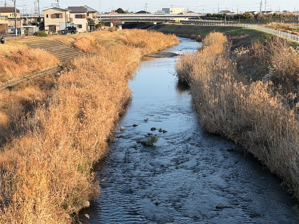 f:id:willemer:20251219215657j:image