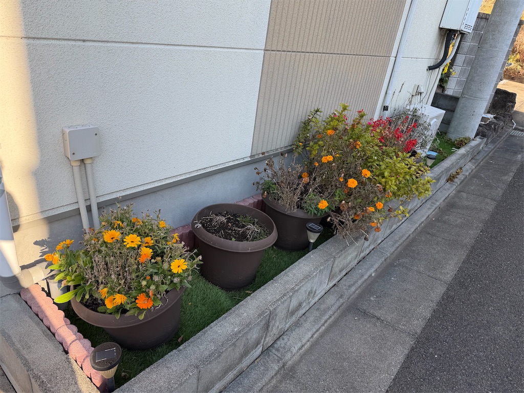 f:id:willemer:20251219215824j:image