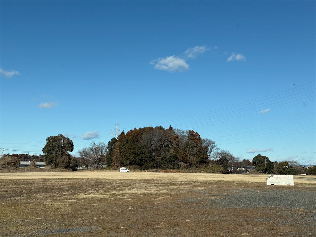 f:id:willemer:20260121194100j:image f:id:willemer:20260121194100j:image