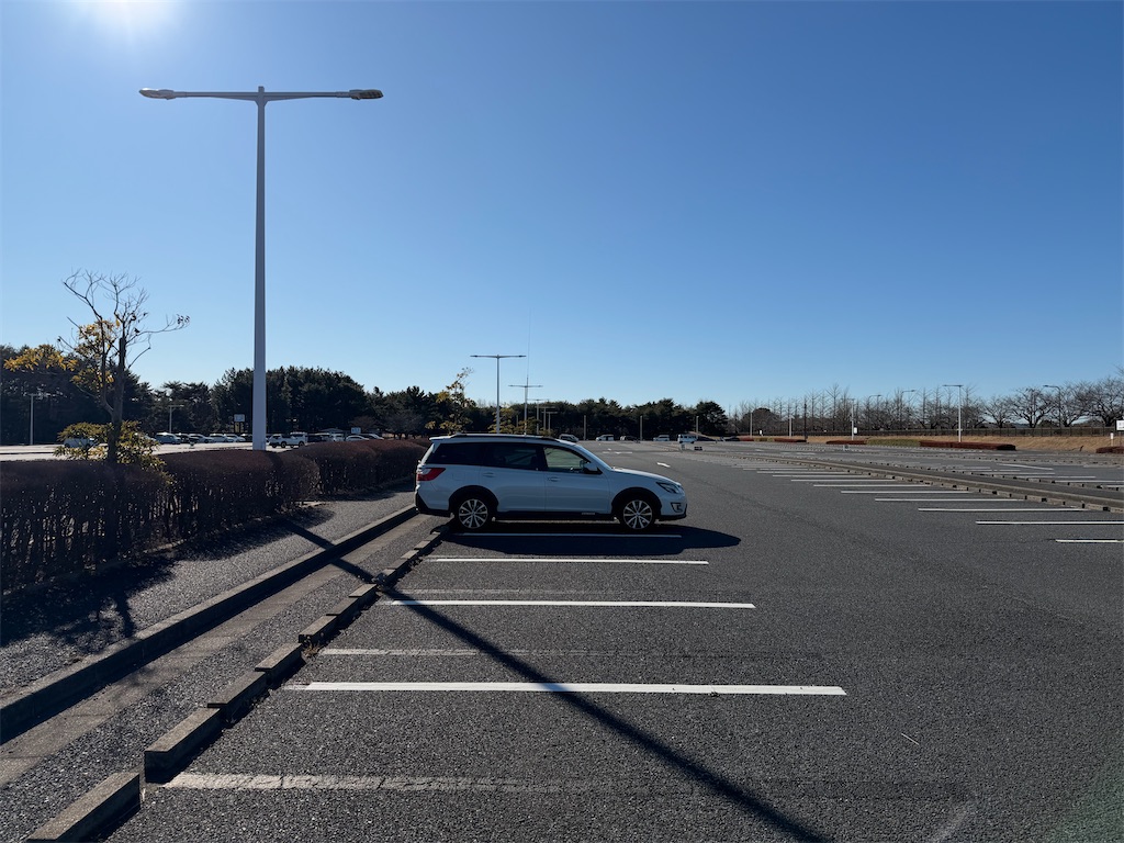 f:id:willemer:20260121194216j:image f:id:willemer:20260121194216j:image