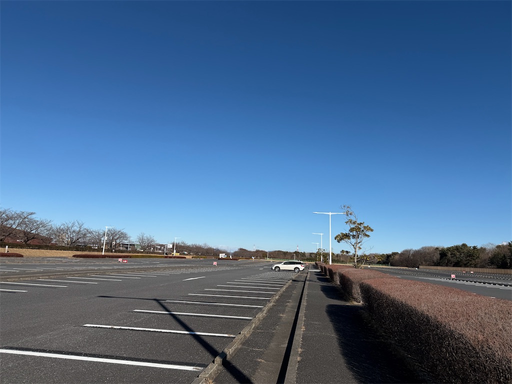 f:id:willemer:20260121194352j:image f:id:willemer:20260121194352j:image