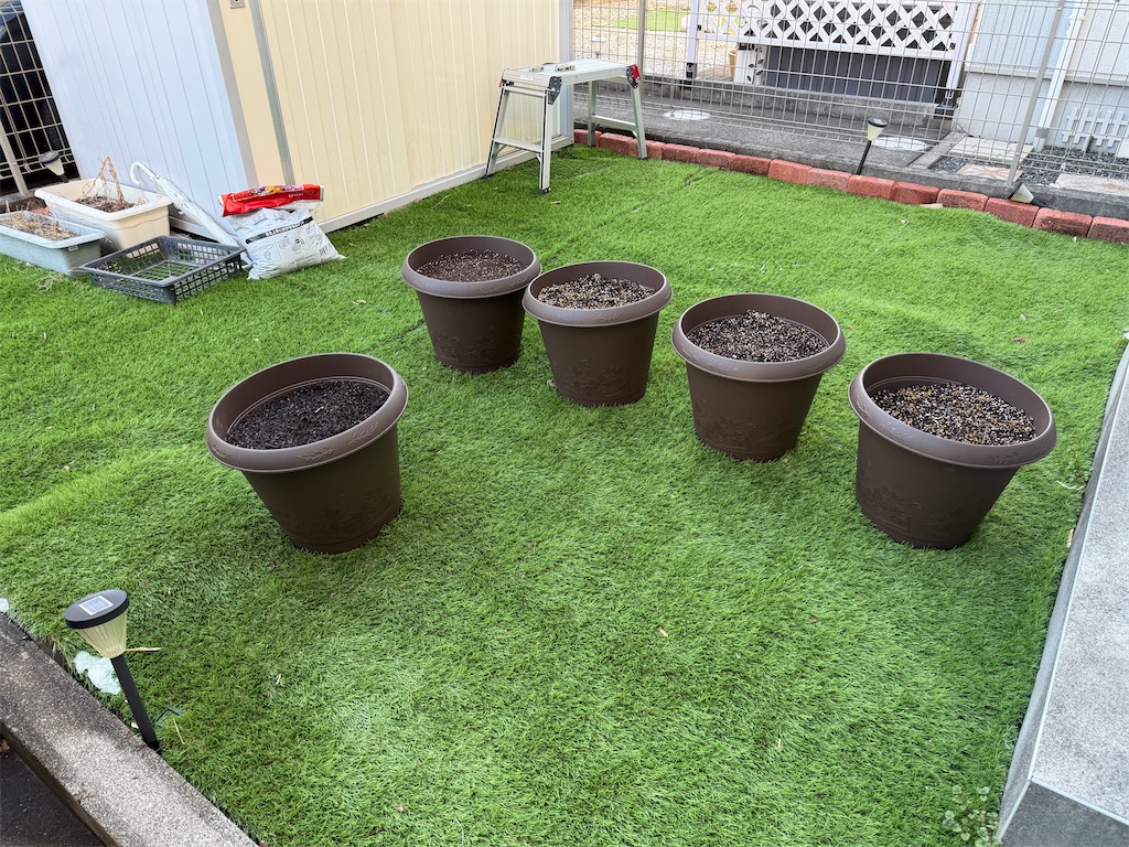 f:id:willemer:20260210175757j:image