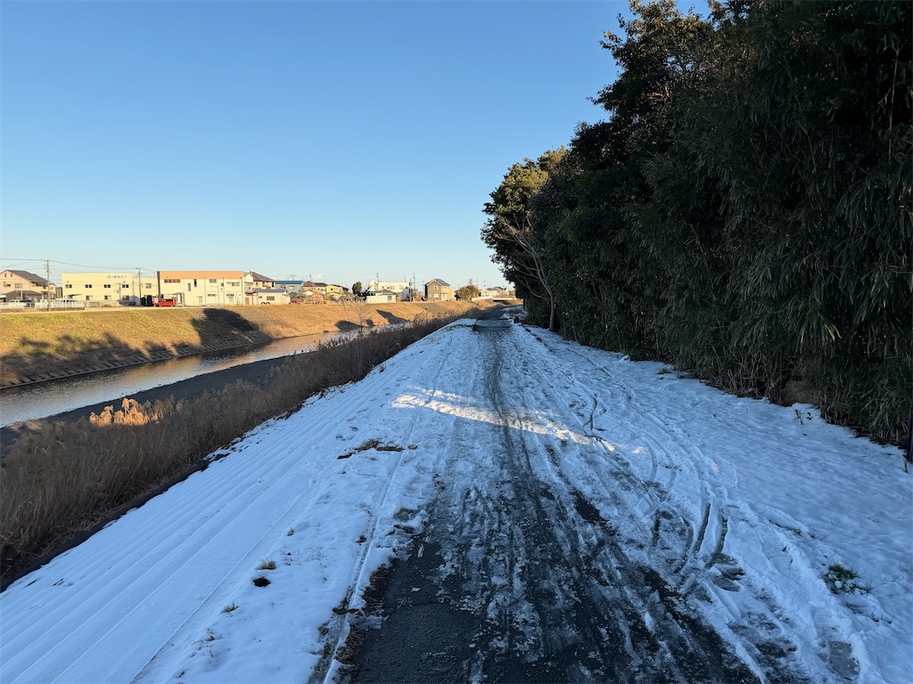 f:id:willemer:20260210175804j:image