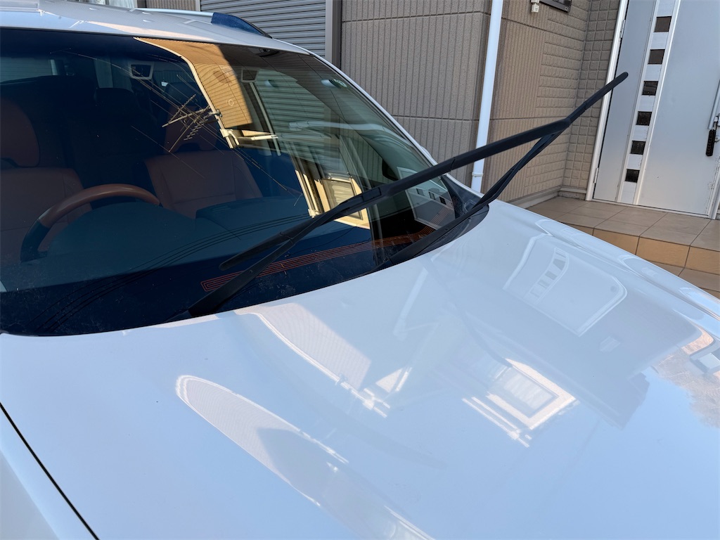 f:id:willemer:20260210175807j:image